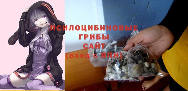 мдпв Нея