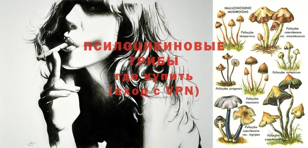 apvp Новозыбков