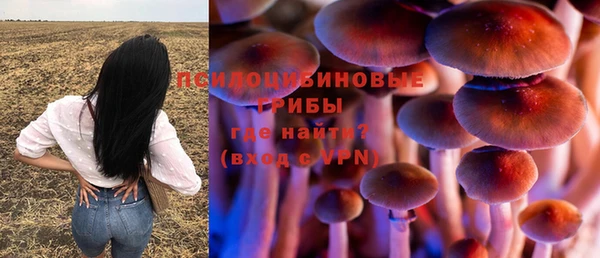 метадон Няндома
