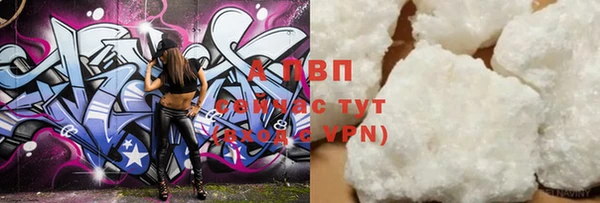 apvp Новозыбков