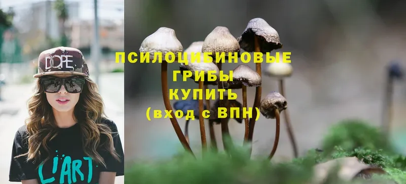 МЕГА зеркало  Заинск  Галлюциногенные грибы Cubensis 