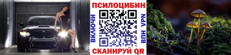 где найти   Заинск  Галлюциногенные грибы ЛСД 