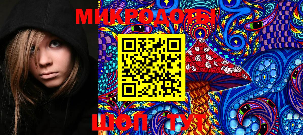 Галлюциногенные грибы Psilocybe  Вход с VPN  Заинск  Галлюциногенные грибы ЛСД 